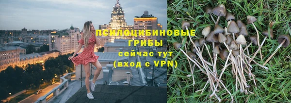 Альфа ПВП Белокуриха