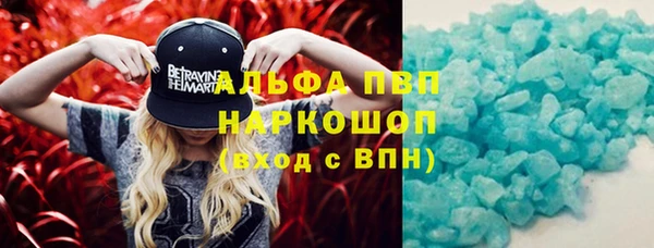экстази Богданович